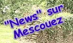 Les news sur Mescouez