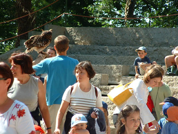 2003_0620_102041AA