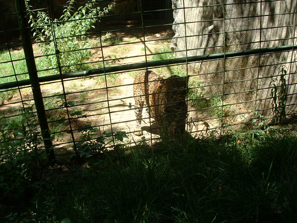 2003_0620_131708AA