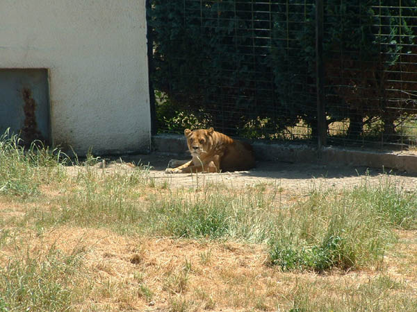 2003_0620_144144AA