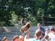 2003_0620_102035AA