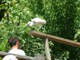 2003_0620_124823AA