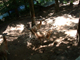 2003_0620_132359AA