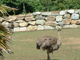 2003_0620_143955AA