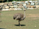 2003_0620_143959AA