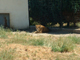 2003_0620_144144AA