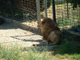 2003_0620_144216AA