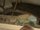 2003_0620_144604AA