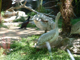 2003_0620_150633AA